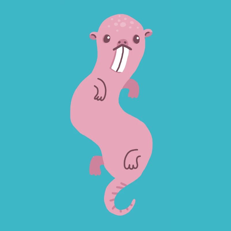 nacktmull