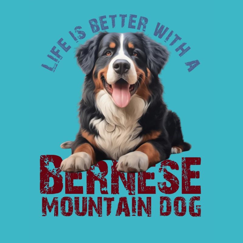 Berner Sennenhund