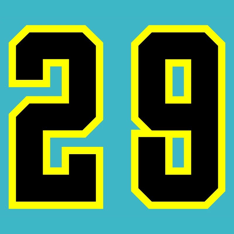 29 Zahl Trikot