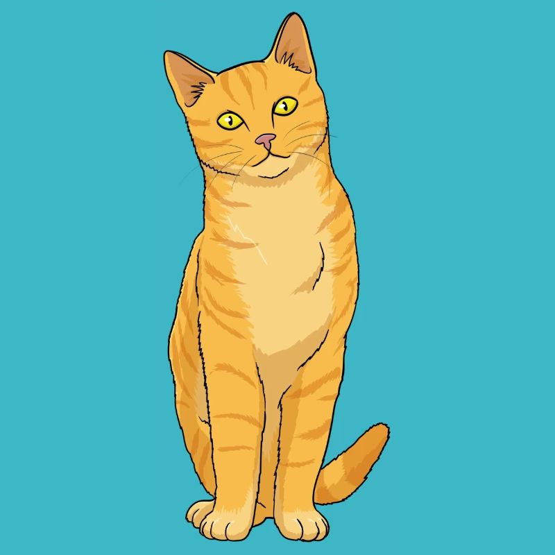 Cat Ginger