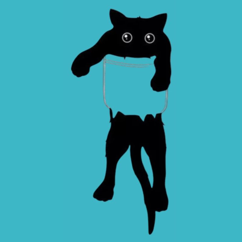 Chat dans la poche