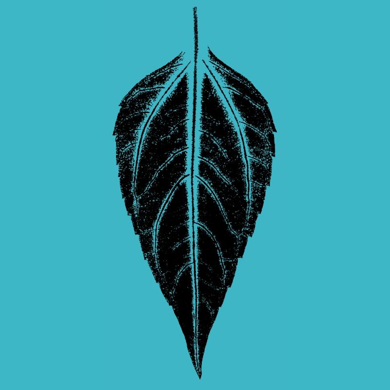 Leaf Jerusalem artichoke