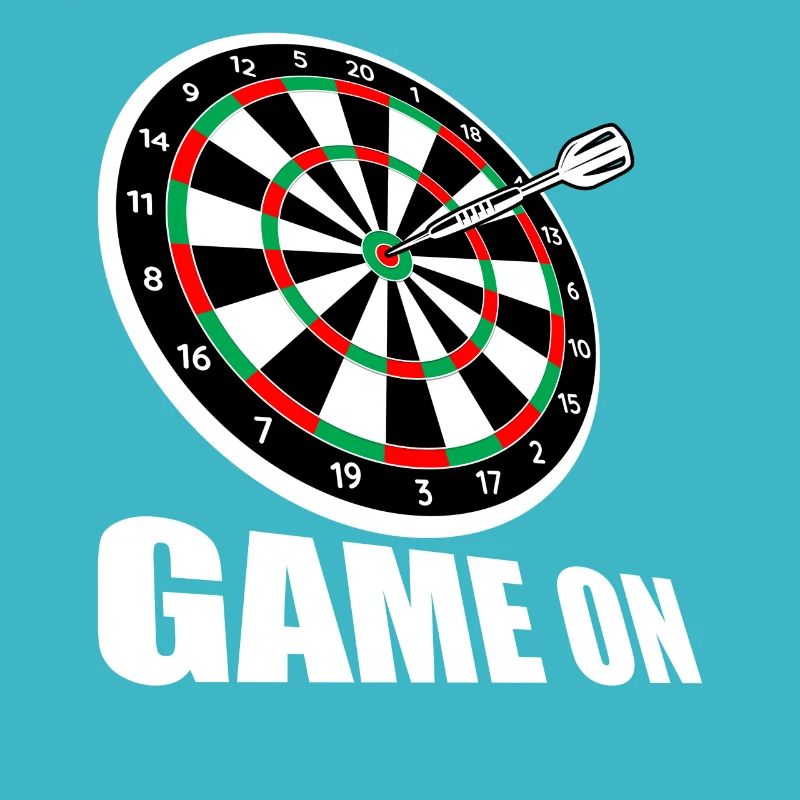 Game on Darts Darts Player Darts Darts