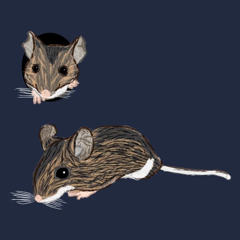 Waldmaus / Wood Mouse 1