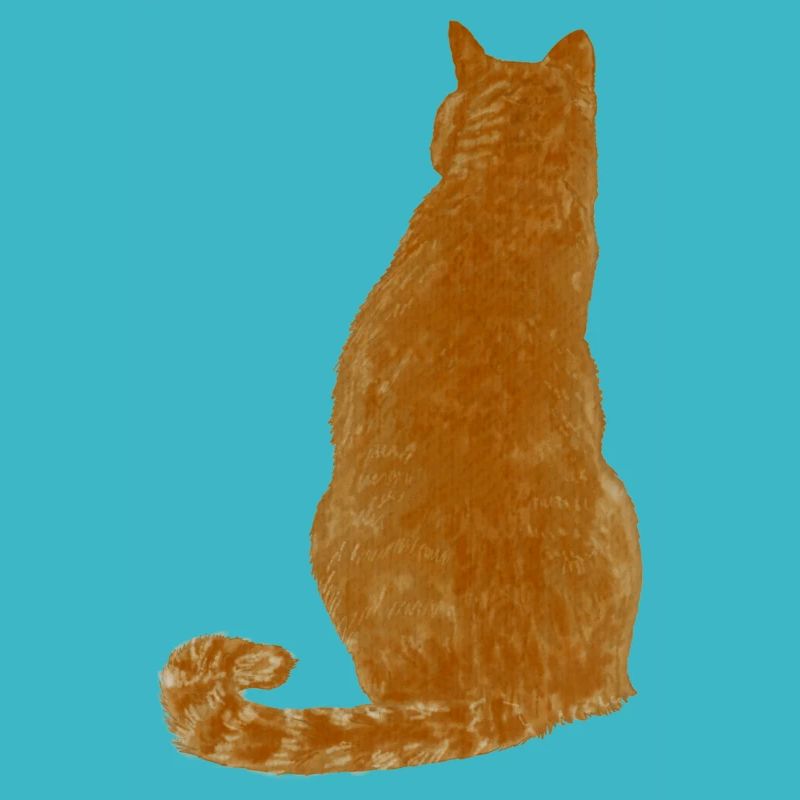 Chat blond