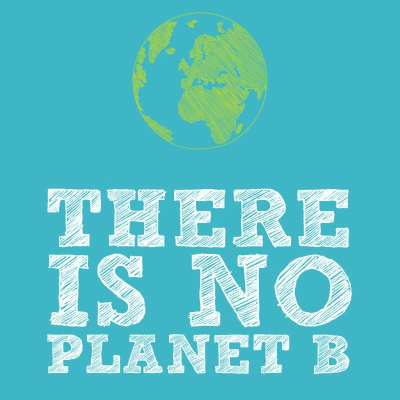 Fridays for Future - There is no Planet B