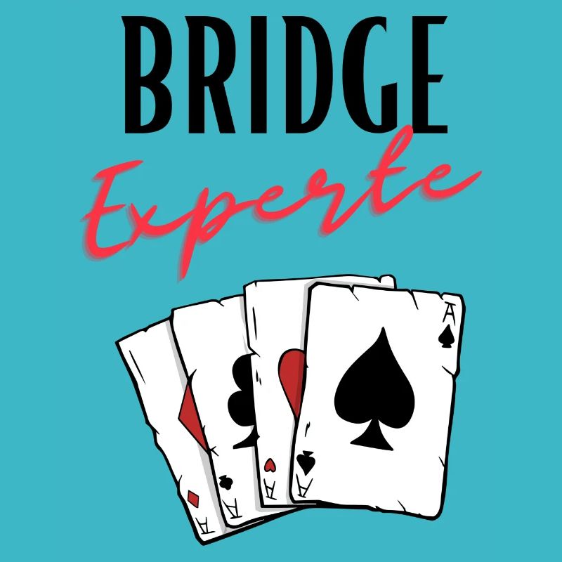 Bridge Experte