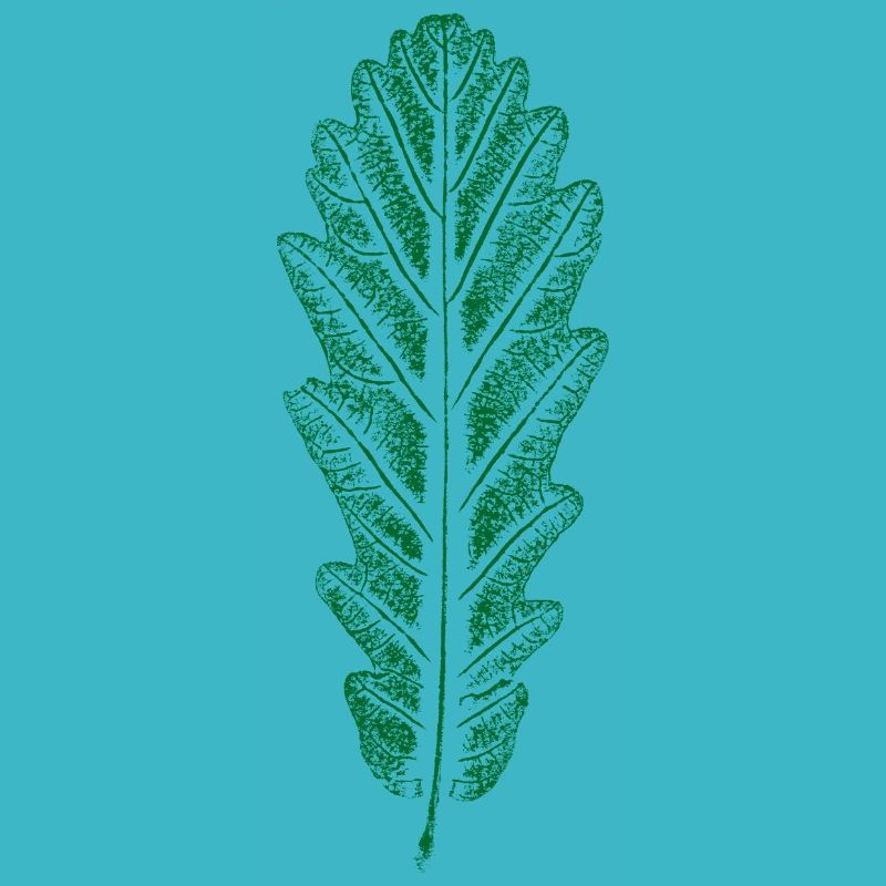 Eiche - Blatt / Eichenblatt - DRUCK