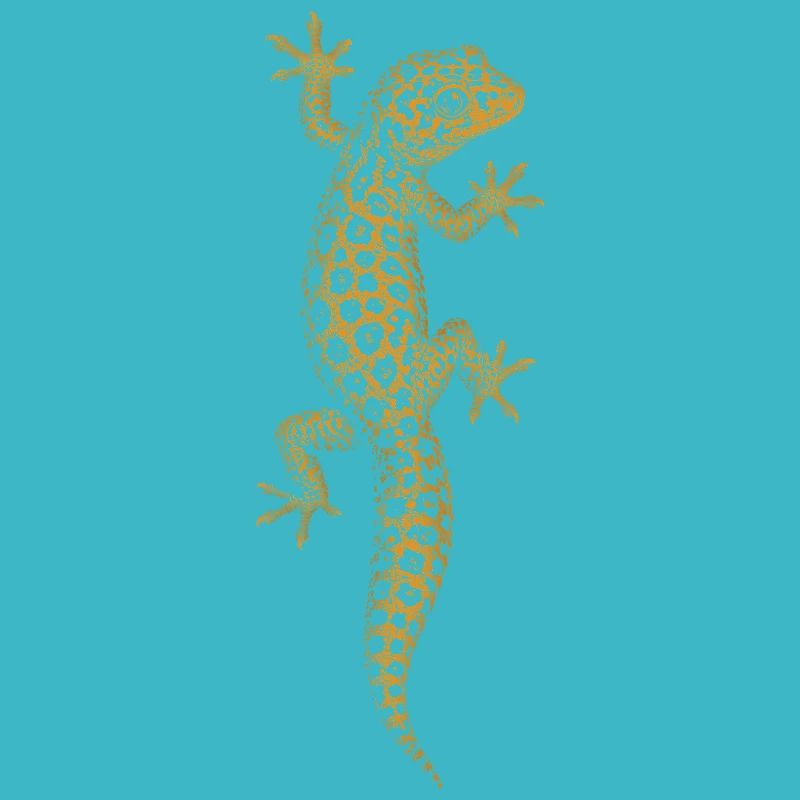 Gecko léopard