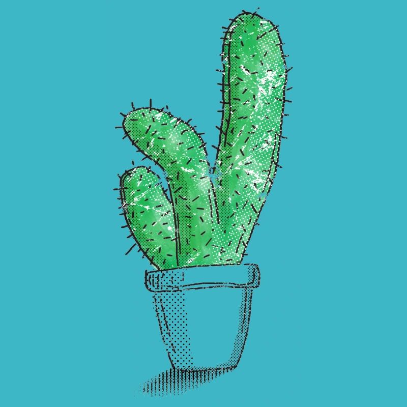 Mon petit cactus vert