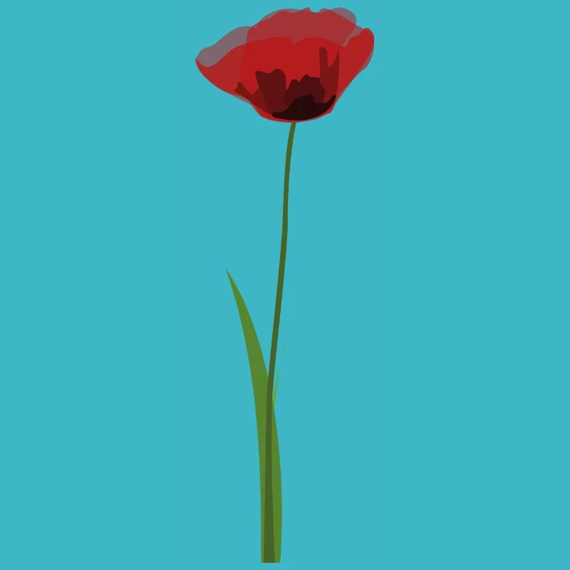 Coquelicot