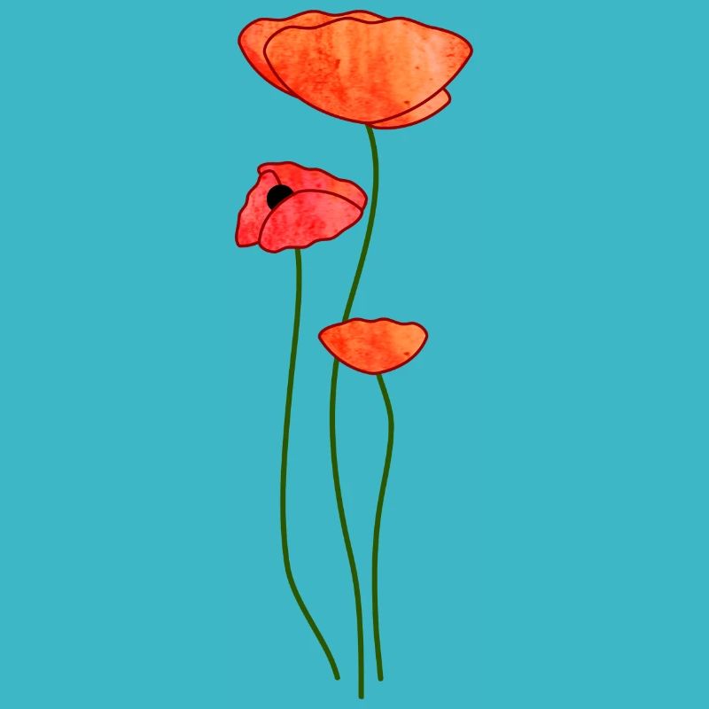 Three poppy flowers