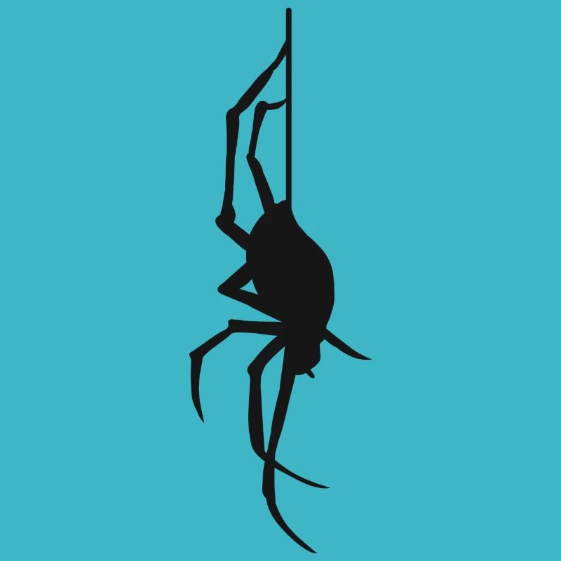 Halloween cadeau araignée araignée Araignées araignées