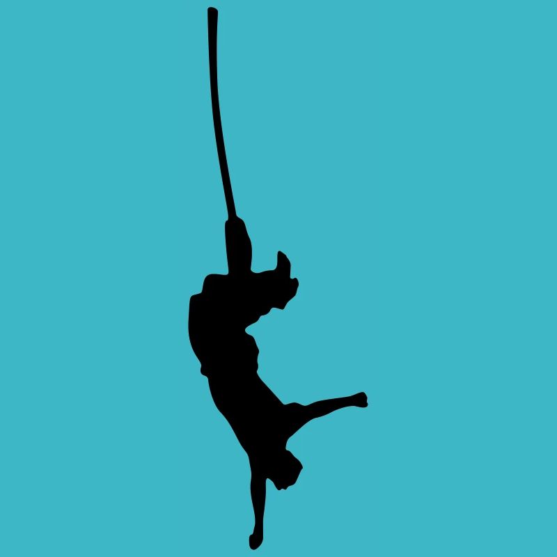 saut de bungee