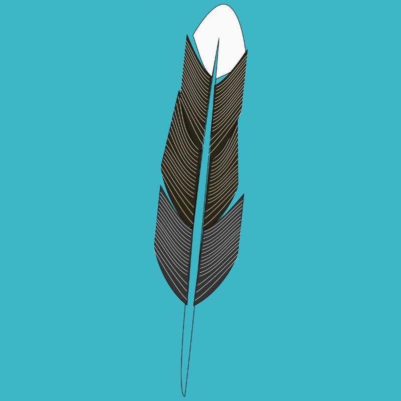 Feder - Hoffnung - Feather