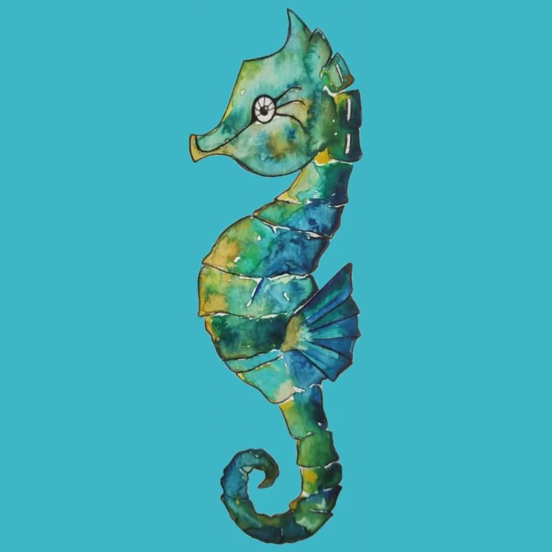 hippocampe