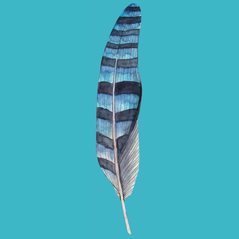 Black blue feather