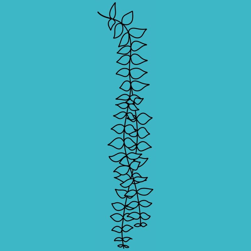 Hanging plant 2