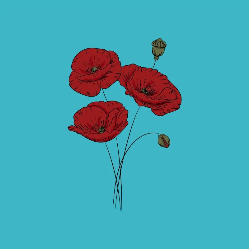 Coquelicot, Fleurs, Nature, Bio