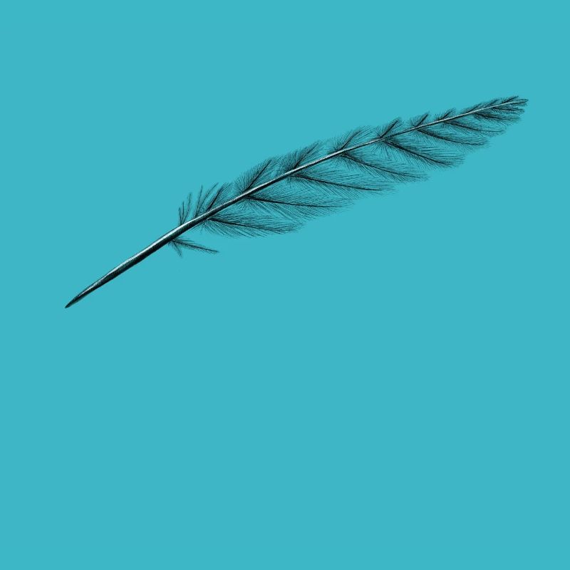 Feather of course