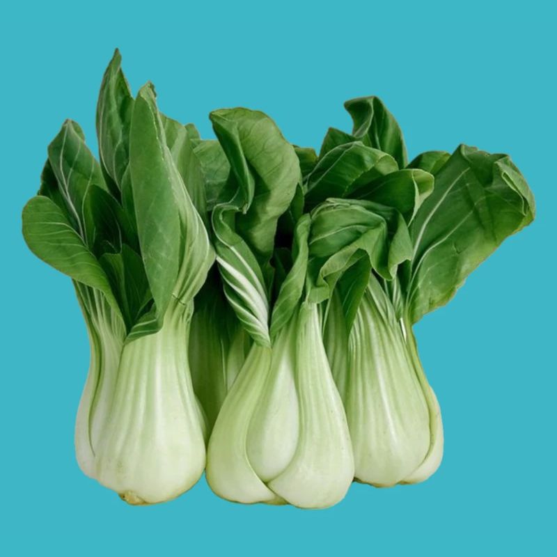 Pak Choi, Chinakohl,Gemüse