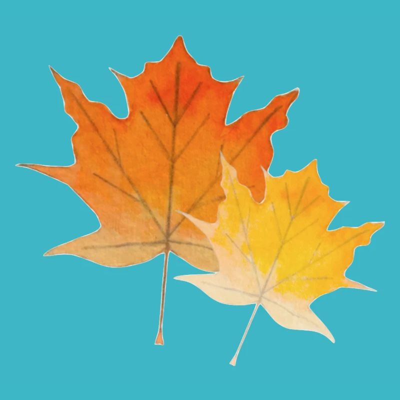 Feuilles d'érable