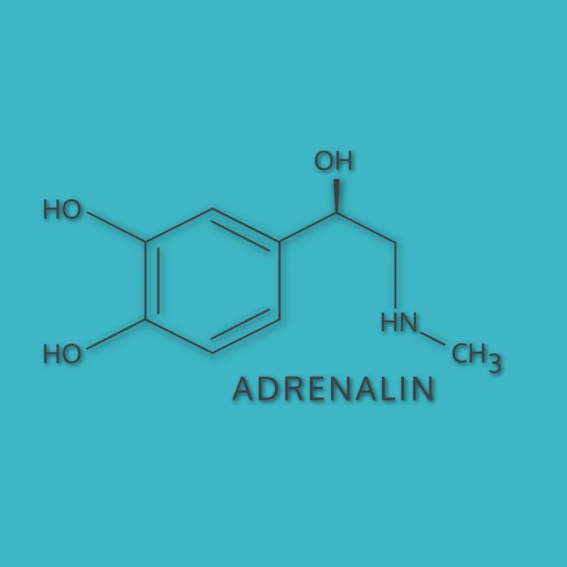 formule structurelle chimique de l'adrénaline
