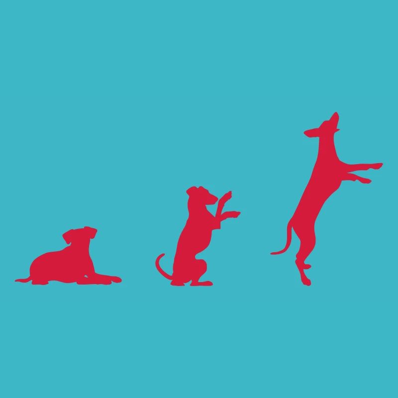 Evolution du chien allemand Pinscher