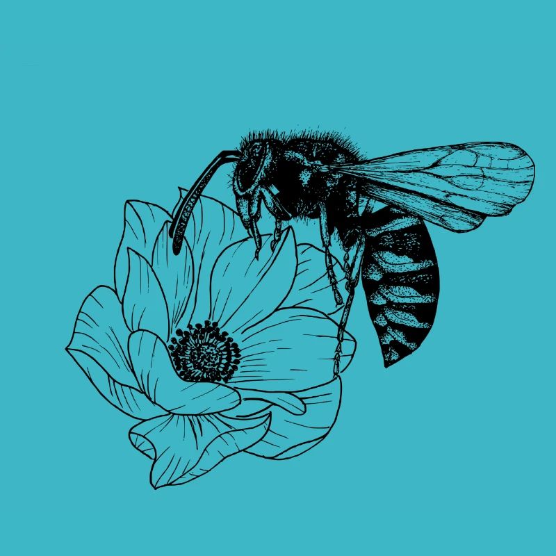 Bee and flower
