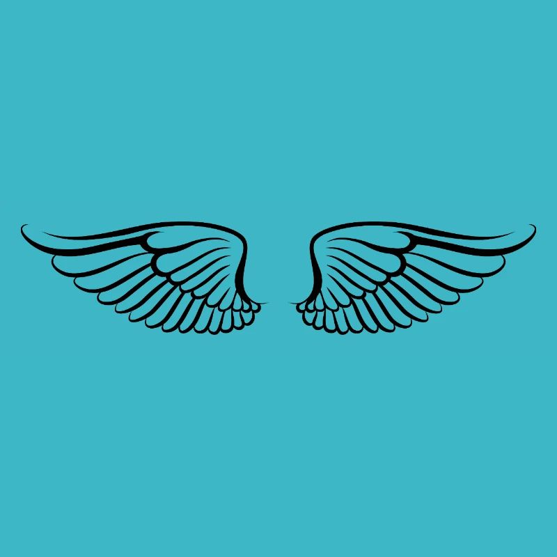 Les ailes