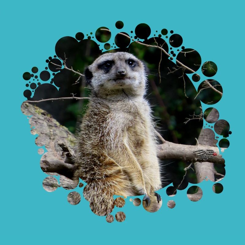 Erdmännchen