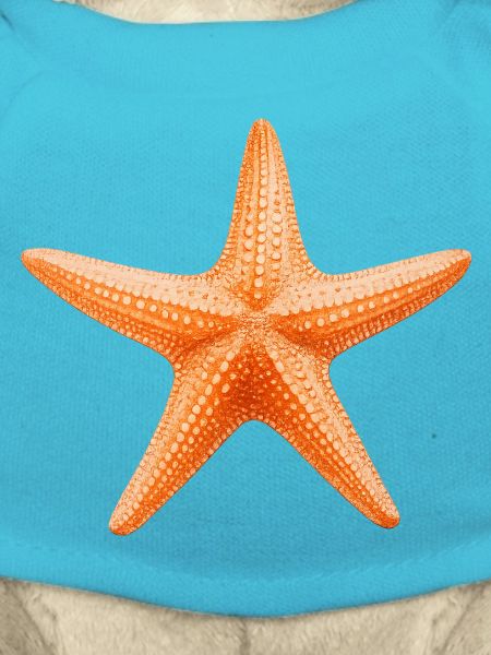 Orange Starfish Beach Design