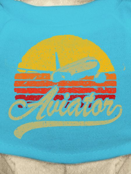 Aviator Sunset Retro Logo