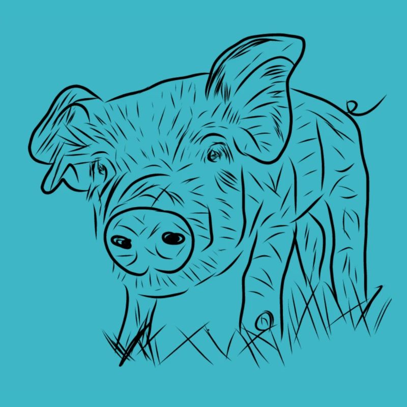 pig