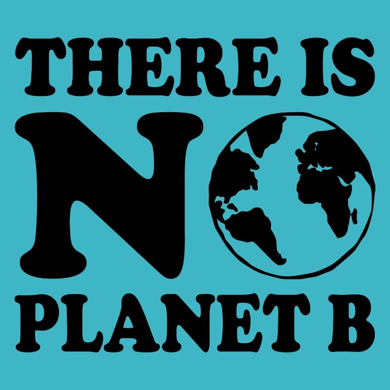 There is no planet b