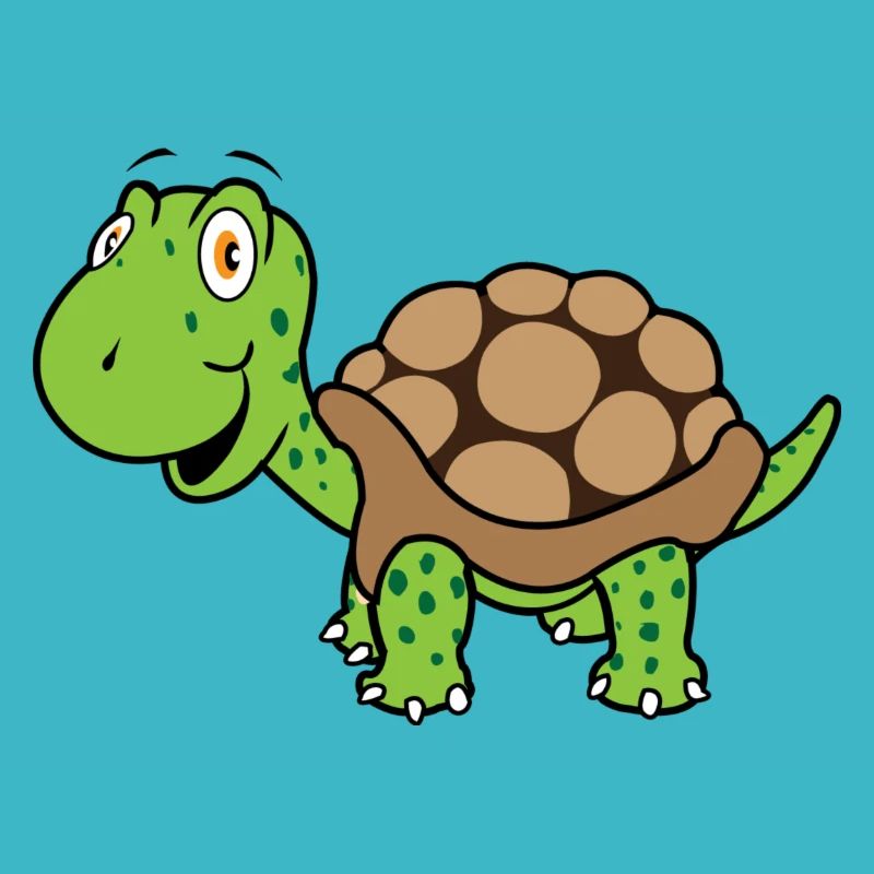 tortue Solo