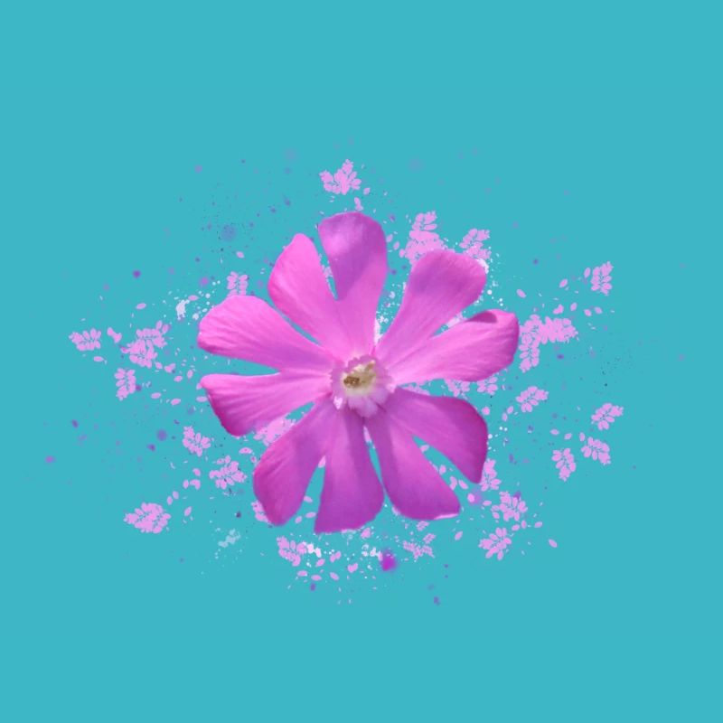 rosa Blüte rosa Blume