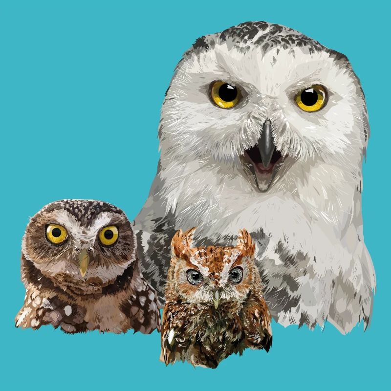owl, owl and owlet