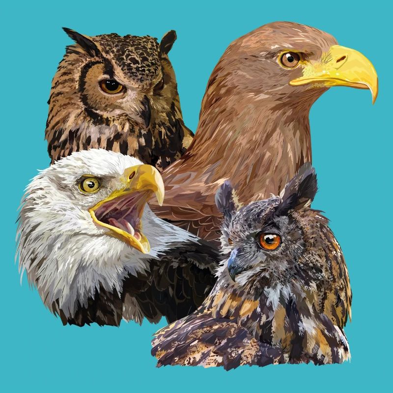 Rapaces