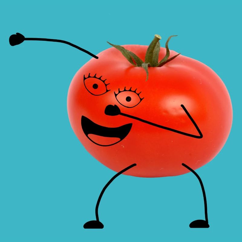 tomate mit geischt