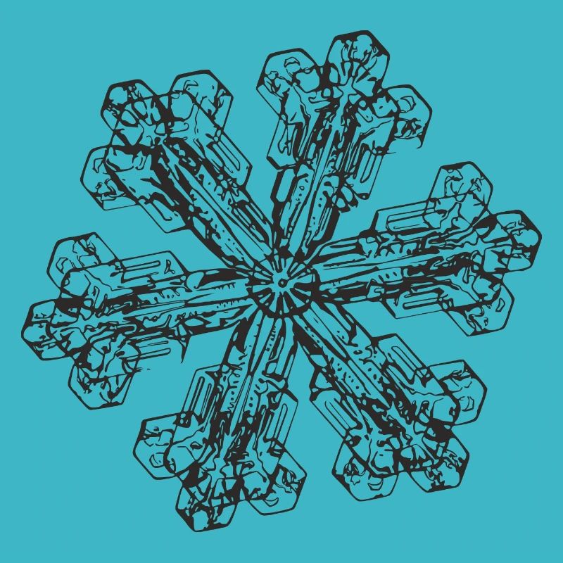snowflake 3 black