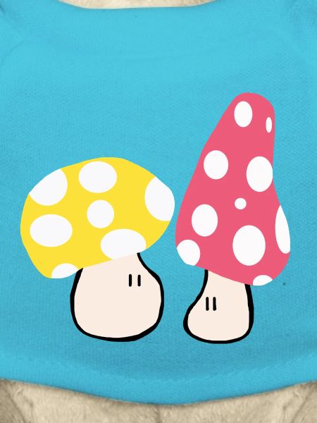 Champignons d’automne