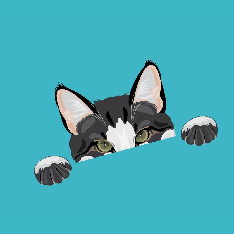 Peeping funny cat
