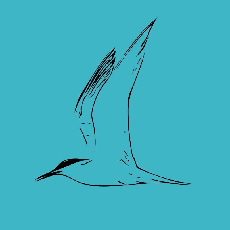 mouette