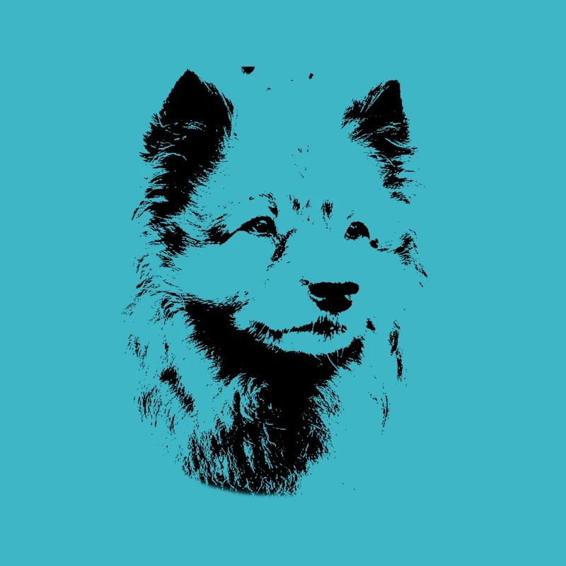 Wolfsspitz Hunderasse