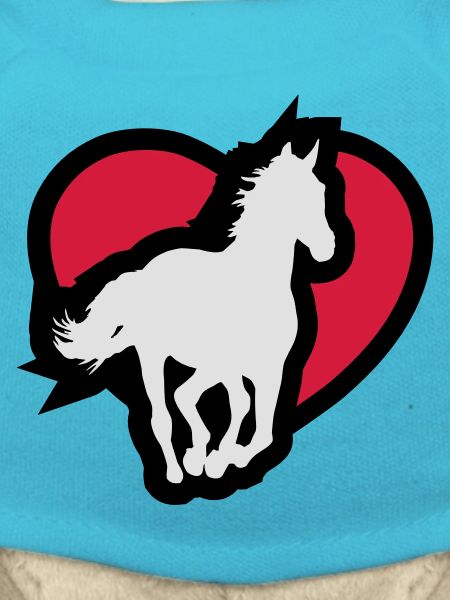 Ein pferd