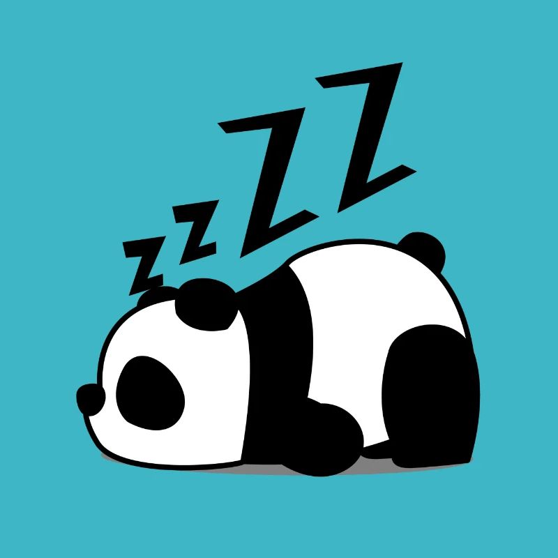 panda relax sleep lazy