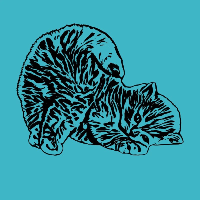 Katze