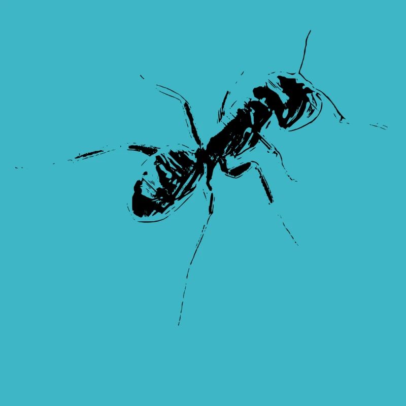 ant