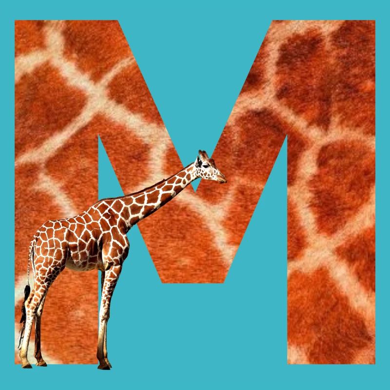 giraffe m